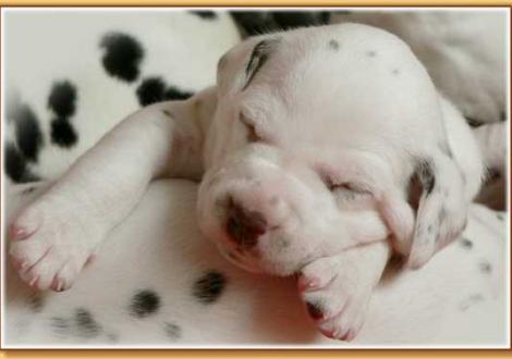 Nepal vom Teutoburger Wald