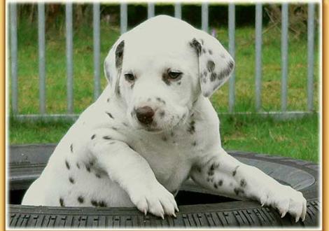 Nepal vom Teutoburger Wald