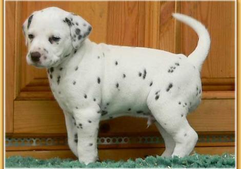 Nepal vom Teutoburger Wald