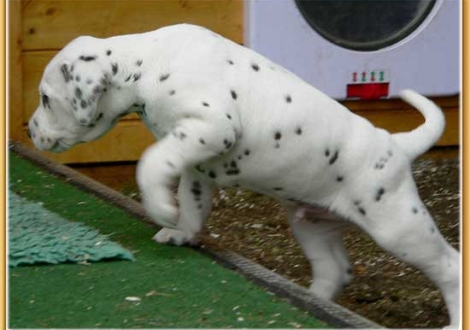 Nepal vom Teutoburger Wald