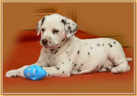 Nepal vom Teutoburger Wald