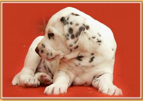 Nepal vom Teutoburger Wald