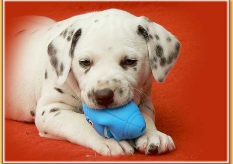 Nepal vom Teutoburger Wald