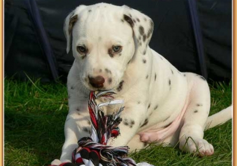 Nepal vom Teutoburger Wald