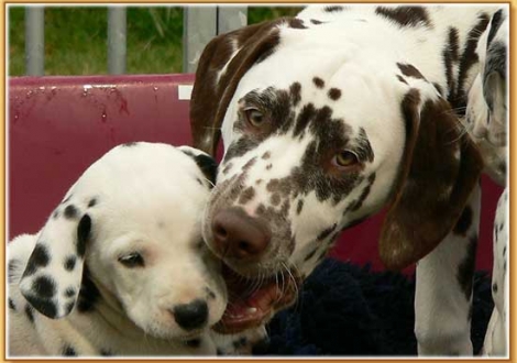 Nirvana vom Teutoburger Wald mit Halbbruder Christi ORMOND Coppola