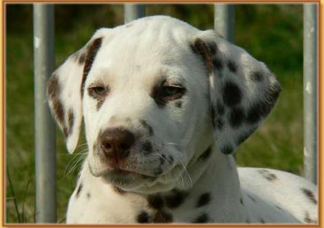 Nepal vom Teutoburger Wald