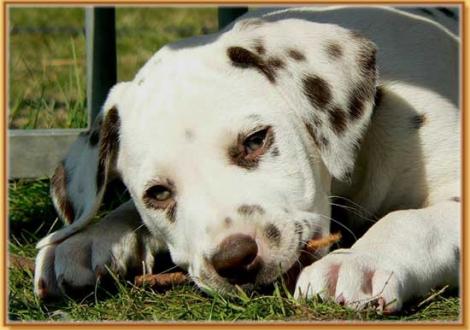 Nepal vom Teutoburger Wald