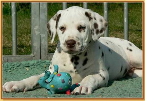 Nepal vom Teutoburger Wald