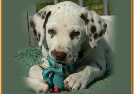 Nepal vom Teutoburger Wald