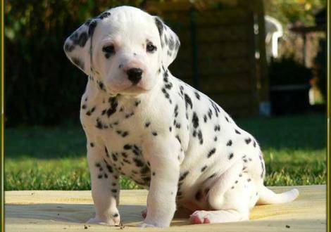 Unsere knackigen Mädels: Obonya vom Teutoburger Wald