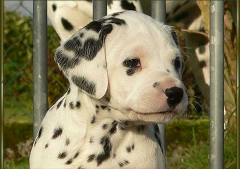 Unsere knackigen Mädels: Obonya vom Teutoburger Wald