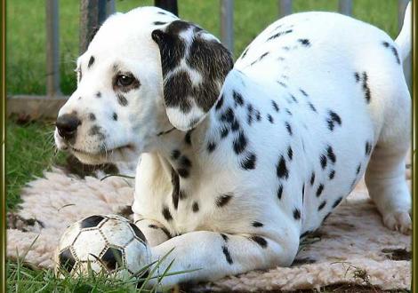 Impressionen: Ozone vom Teutoburger Wald