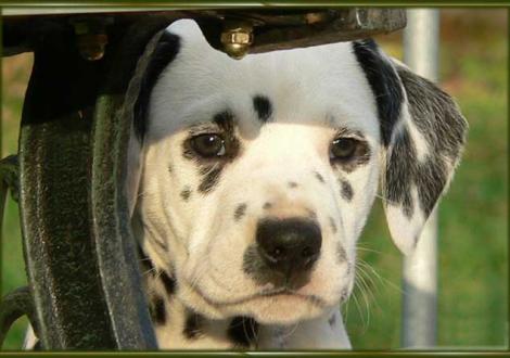 Impressionen: Ozone vom Teutoburger Wald