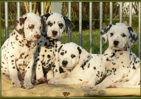 Ohara, Ondra, Omana, Obonya vom Teutoburger Wald