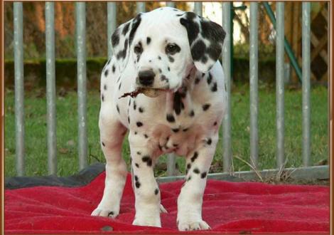 Impressionen: Ozone vom Teutoburger Wald