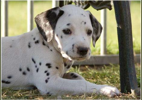 Perfect Project vom Teutoburger Wald