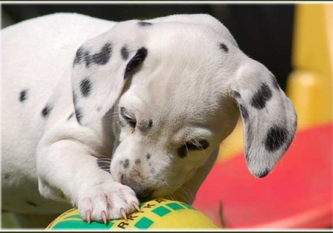 Philadelphia vom Teutoburger Wald