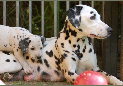 Perfect Project vom Teutoburger Wald mit Mama Jameela