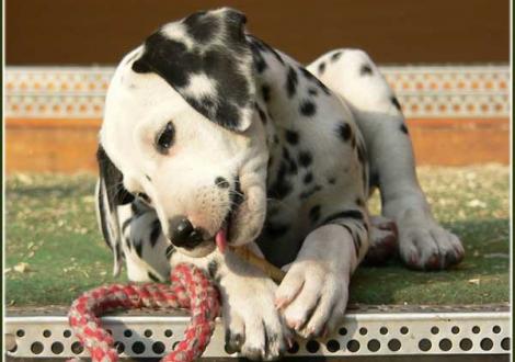 Impressionen... - Palimé vom Teutoburger Wald