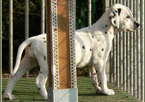 Philadelphia vom Teutoburger Wald