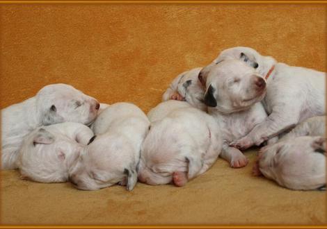 Impressionen der 1. Woche