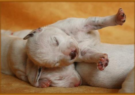 Nächste Woche könnt ihr euch wieder auf neue Fotos freuen!!!