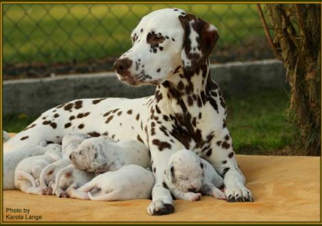 Aufmerksame Mama Latoya