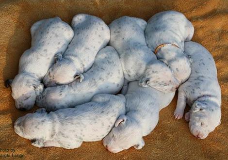 Alle auf einen Streich aus der Luftansicht!! 