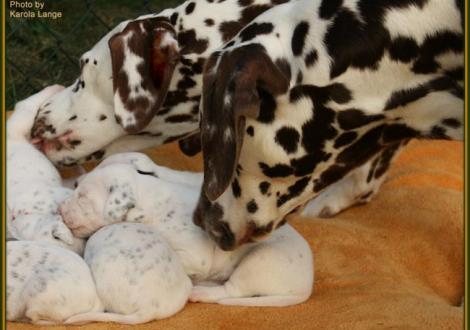 Die stolzen Eltern schauen nach dem Rechten!!!