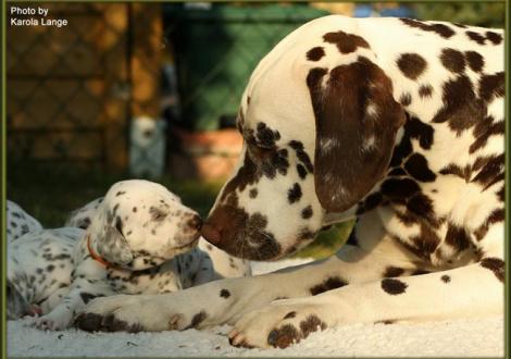 Hallo mein süßes Töchterchen, lass uns schmusen!