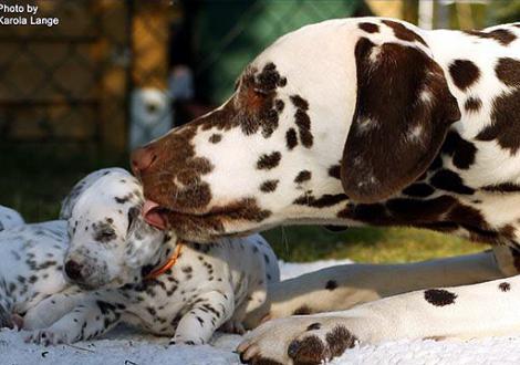 ... uns jetzt gibt`s auch noch ein dickes Bussy! 