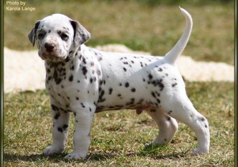 Wir haben uns zu richtig kleinen Persönlichkeiten entwickelt.