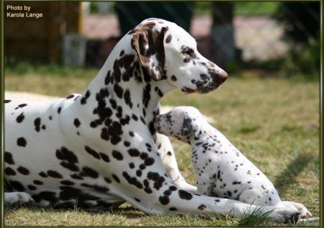 ... du riechst aber gut Tante Eve!