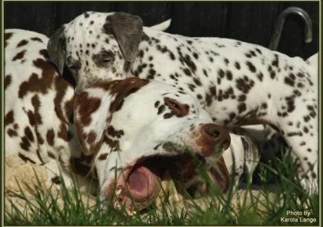 .. oh, lass mal sehen Mama, was hast du denn da Leckeres ?!