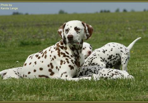 Mama Latoya vom Teutoburger Wald glücklich und zufrieden!