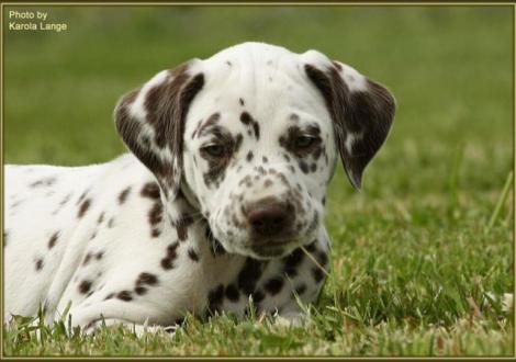 Quality Quest vom Teutoburger Wald