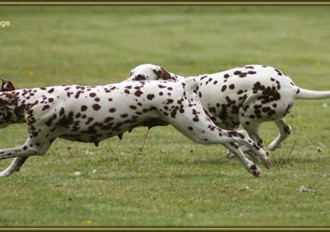 Wir müssen auch mal so richtig Speed machen und Megaspass haben!