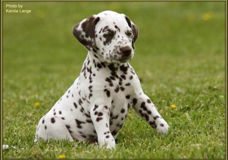 Quality Quest vom Teutoburger Wald