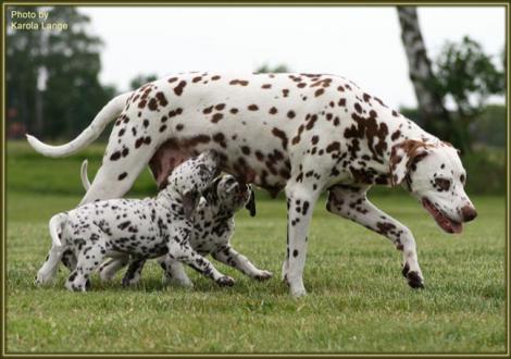 Manchmal seid ihr aber auch richtig aufdringlich!