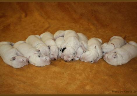 Alle 10 auf einen Streich