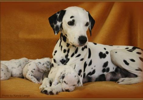 Mama Jameela kuschelt mit Mr. Weiss