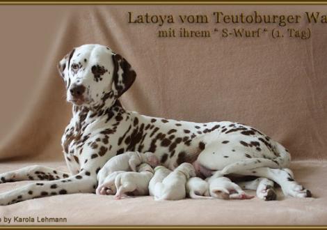 Impressionen vom 1. Lebenstag