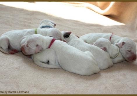 Alle 7 auf einen Streich (1. Lebenstag)