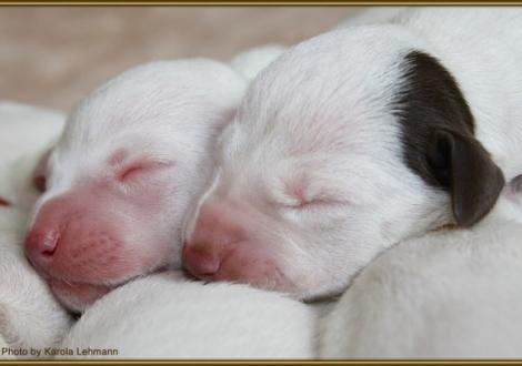 seeliges Schläfchen