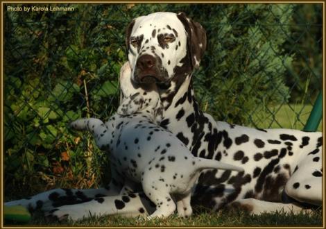 ...dann muss ich wohl noch deutlicher werden ...hab mich lieb! (Lady Lila mit ihrer Tante Christi ORMOND First Fairytale gen. Hope)