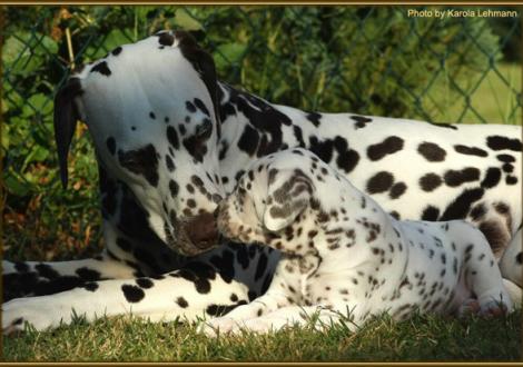 ...kleines Bussi! (Tante Christi ORMOND First Fairytale gen. Hope & Mr. Rot)