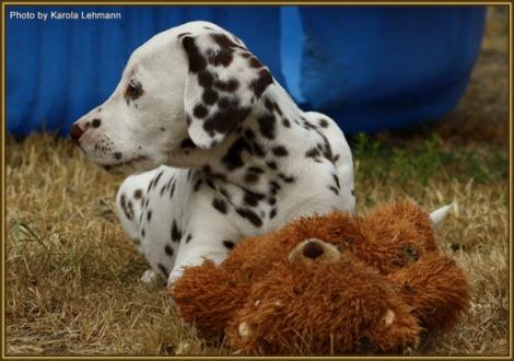 Samoa`s Sunrise vom Teutoburger Wald