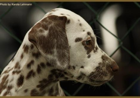 Seventh Heaven vom Teutoburger Wald