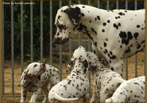 Onkel Christi ORMOND Extreme Emotional (gen. Emo) ergreift erzieherische Maßnahmen