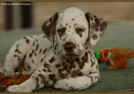 Seventh Heaven vom Teutoburger Wald